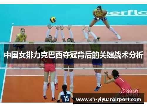 中国女排力克巴西夺冠背后的关键战术分析